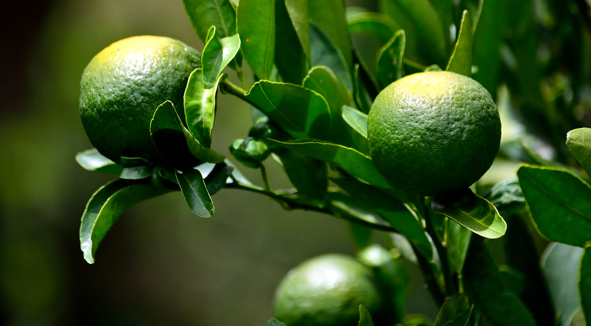 Ư��7(�й�)���޹�˾����