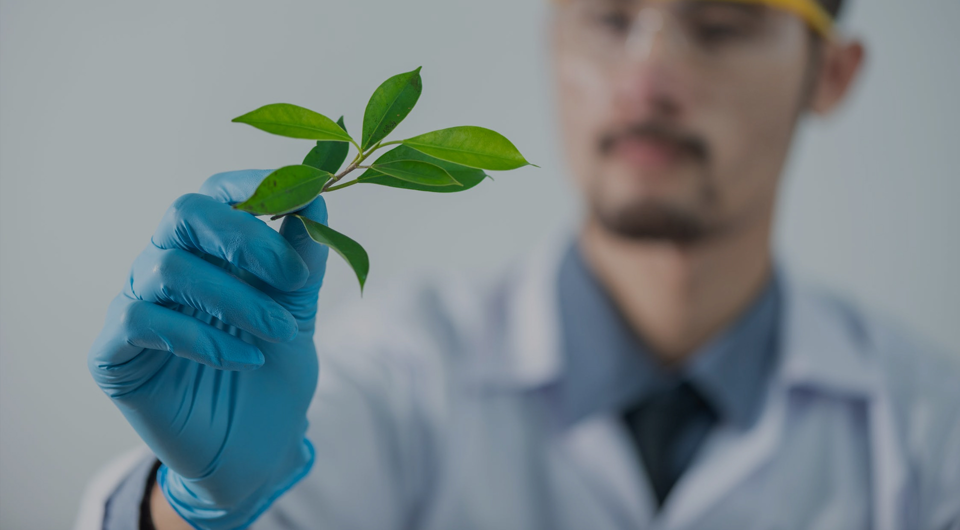 Ư��7(�й�)���޹�˾����